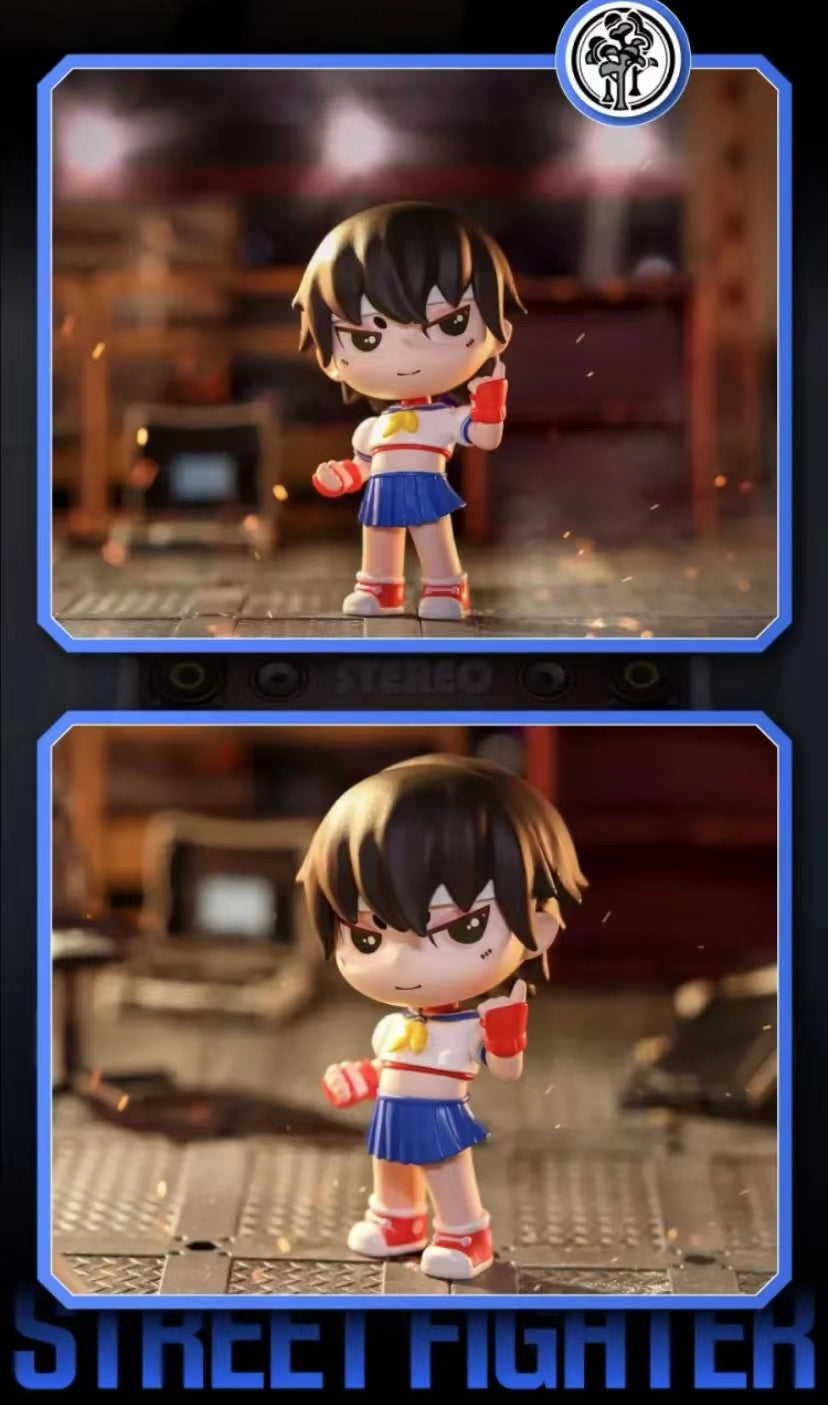 Street Fighter:Duel Classic Character series