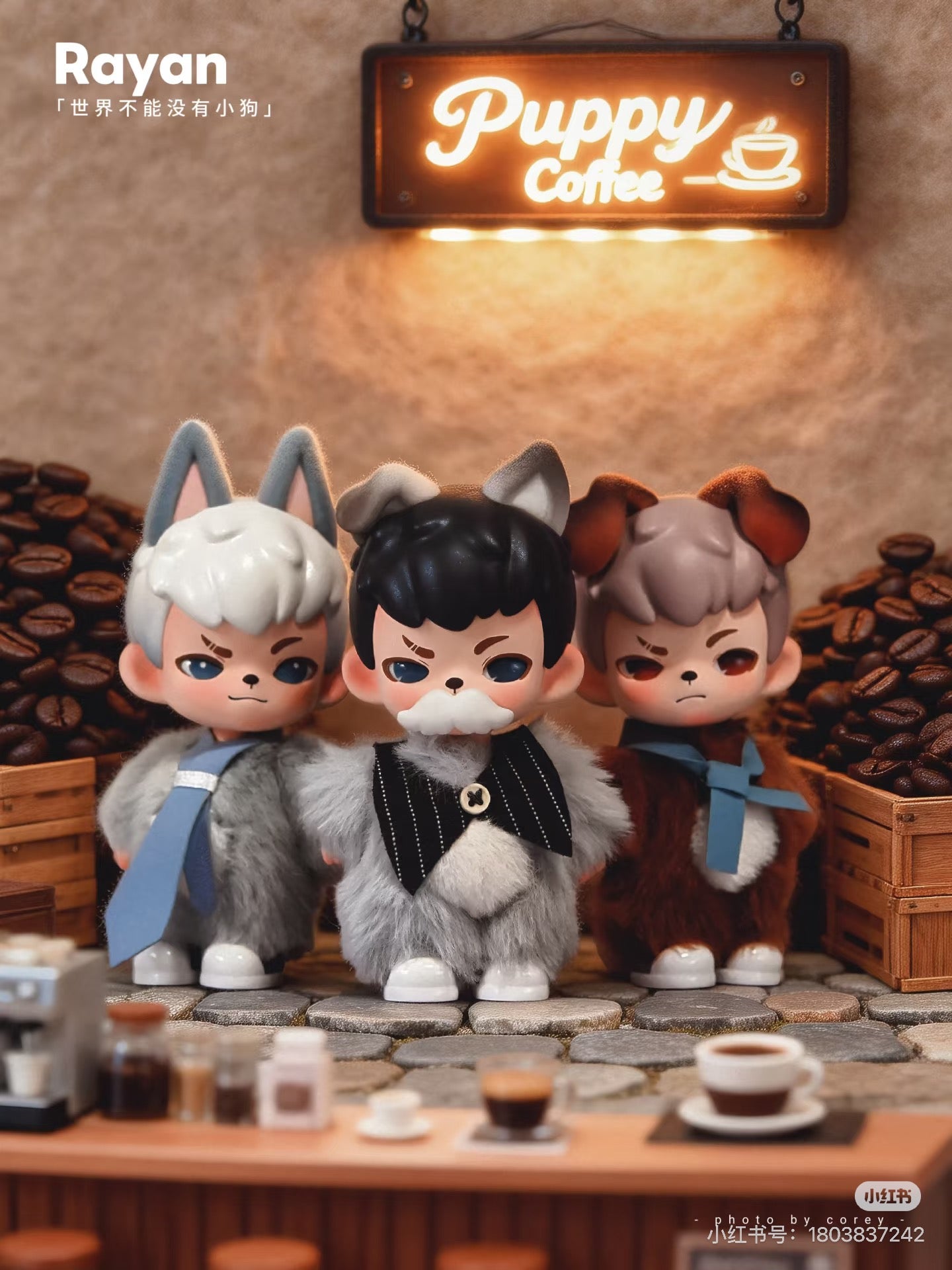 Rayan No Puppies No World Series Blind Box