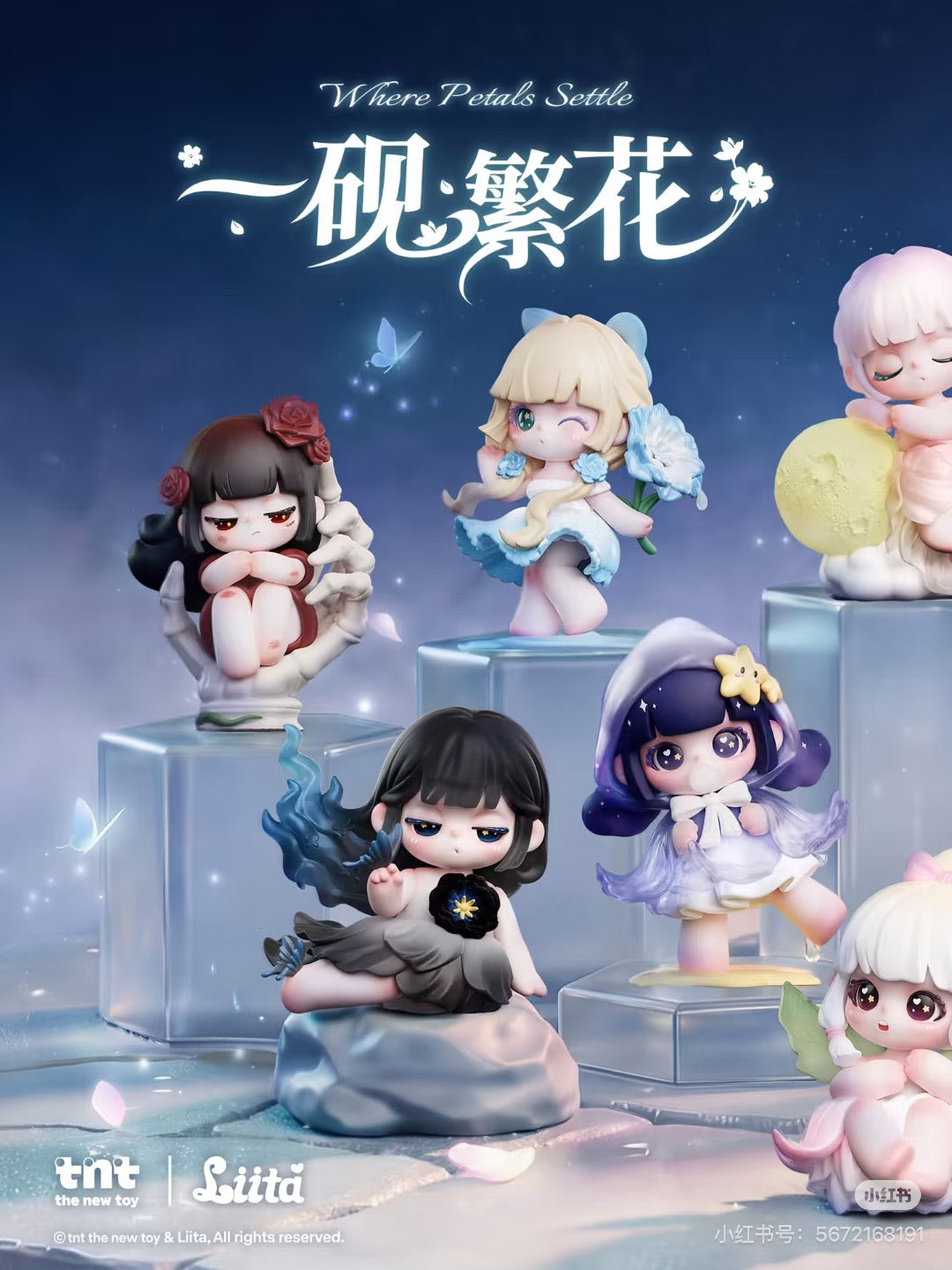 pre order Liita Where Petals Settle Series Figure Blind Box